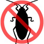 Pest Control Services