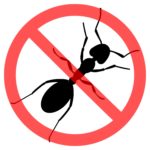 Pest Control Services