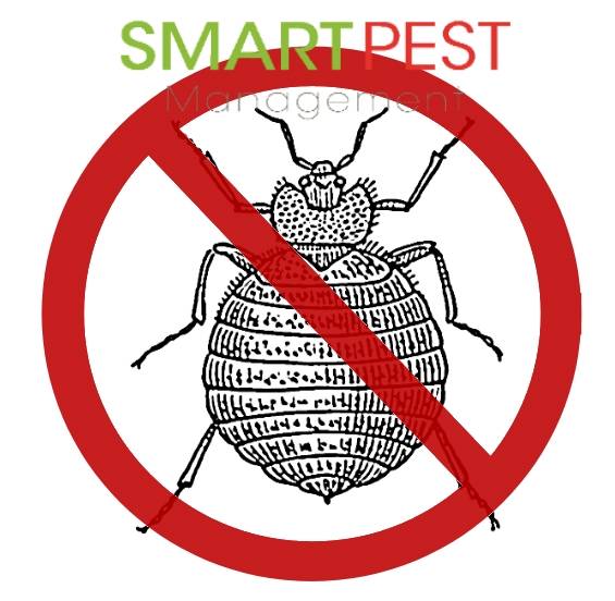 bed bug control